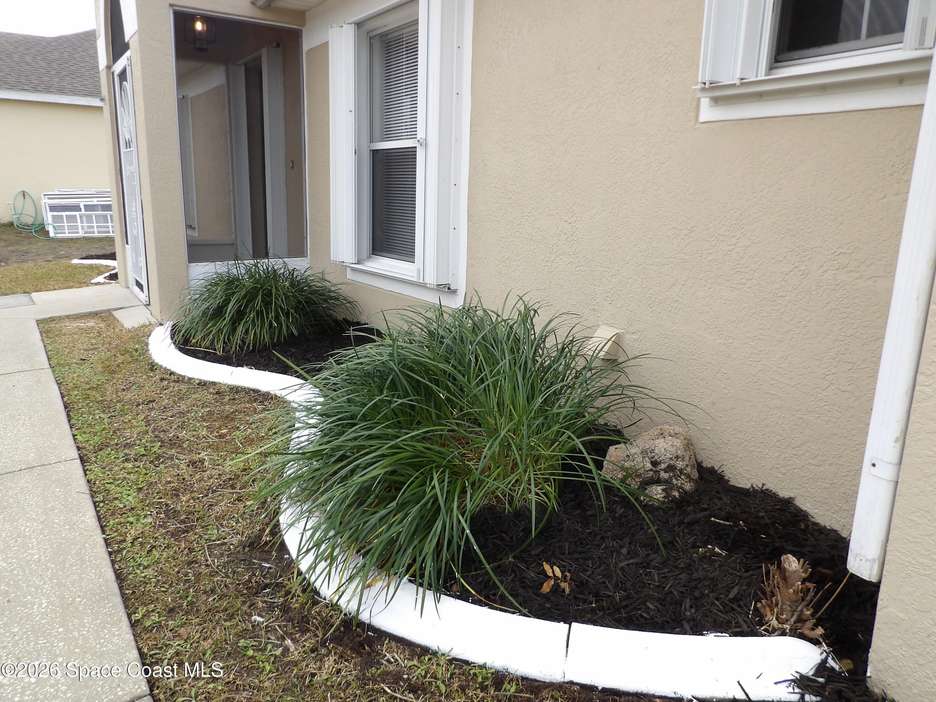 542 Octavius Road Southwest Palm Bay, FL 32908 - Photo 3 of 33 a black and white plant sitting in a bathroom