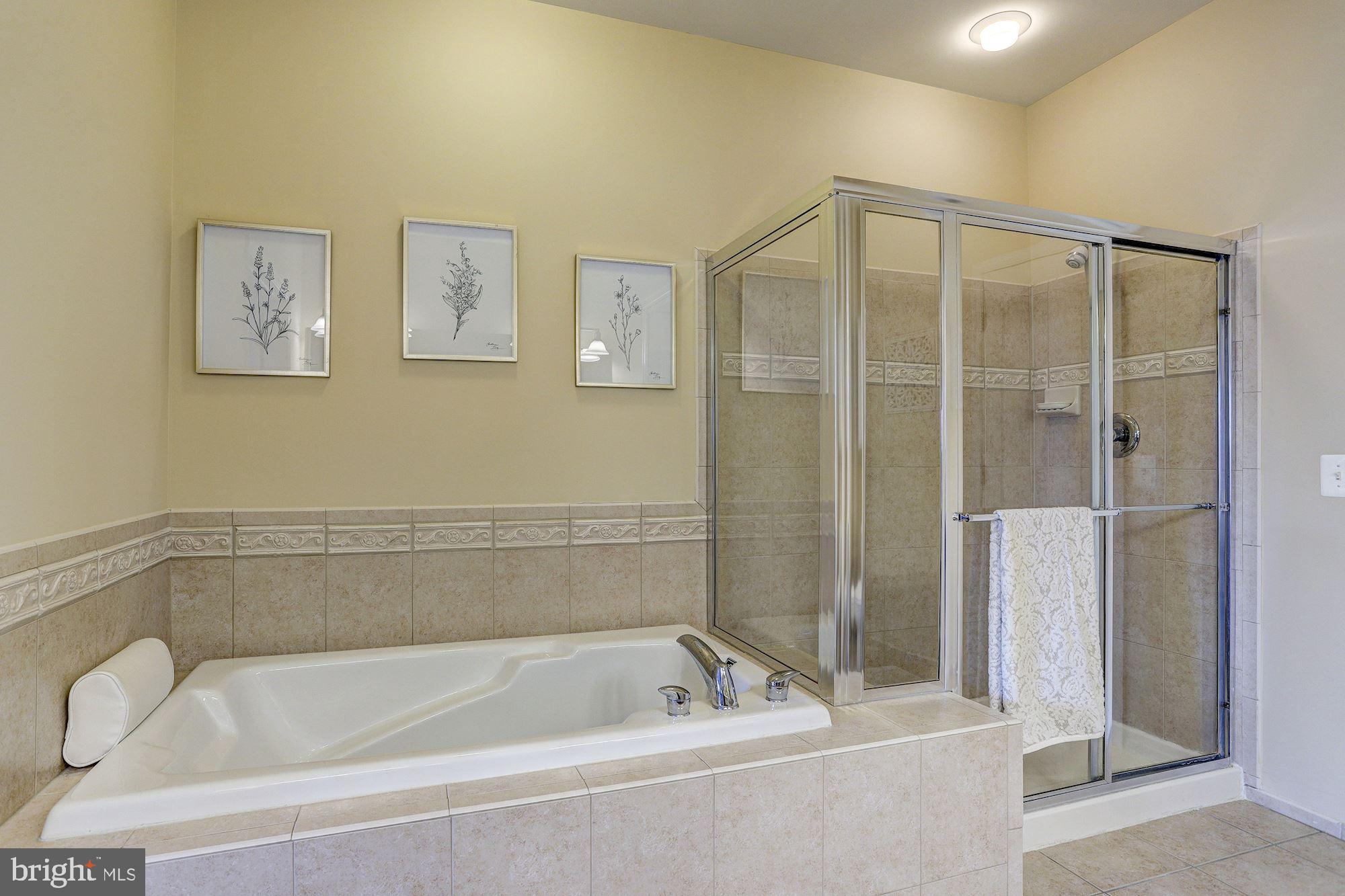 8216 Academy Road, Unit 24 Ellicott City, MD 21043 - Photo 20 of 47 Primary En Suite Bath | Walk-in Closet