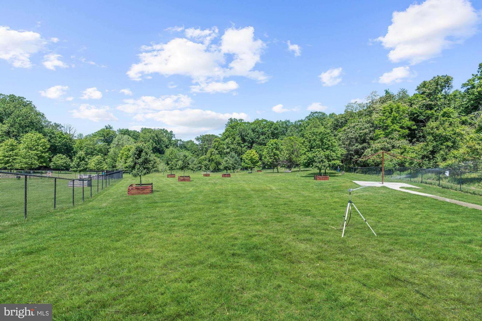 8216 Academy Road, Unit 24 Ellicott City, MD 21043 - Photo 40 of 47 Community Dog Park