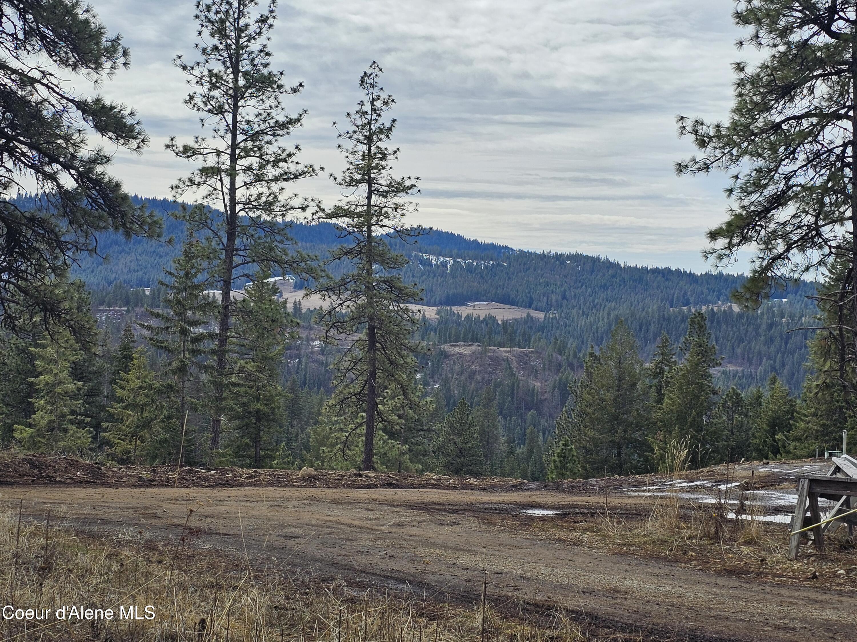 2252 East Badger Road Harrison, ID 83833 - Photo 11 of 21 Southern exposure views