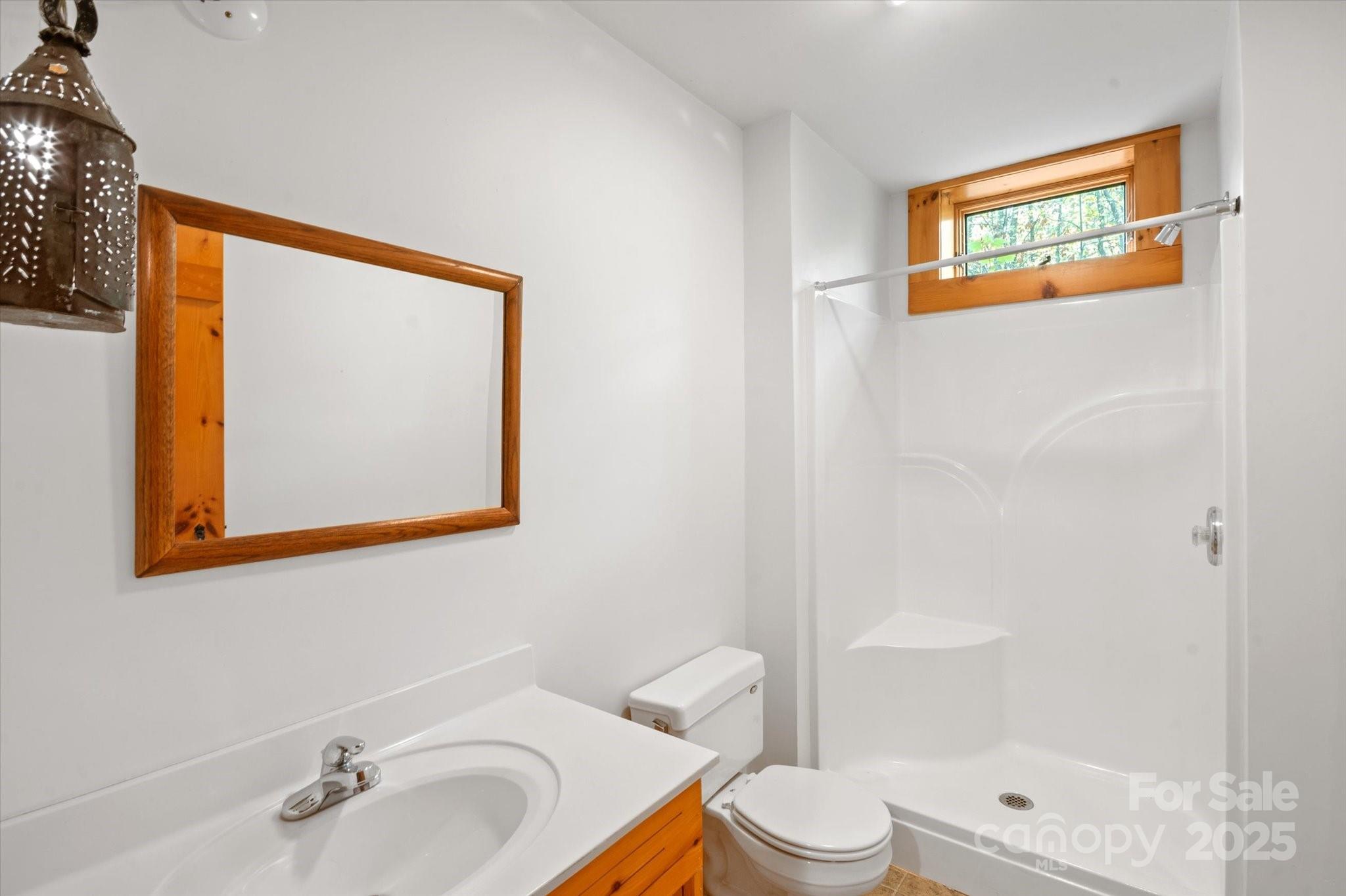 447 Cherokee Circle Tryon, NC 28782 - Photo 30 of 36 a bathroom with a sink and a mirror