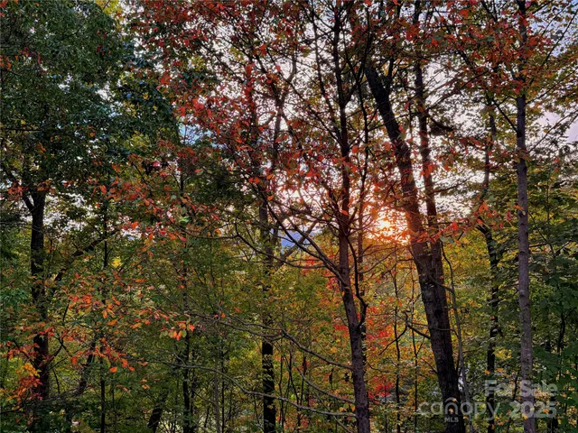 a view of a balcony with wooden floor