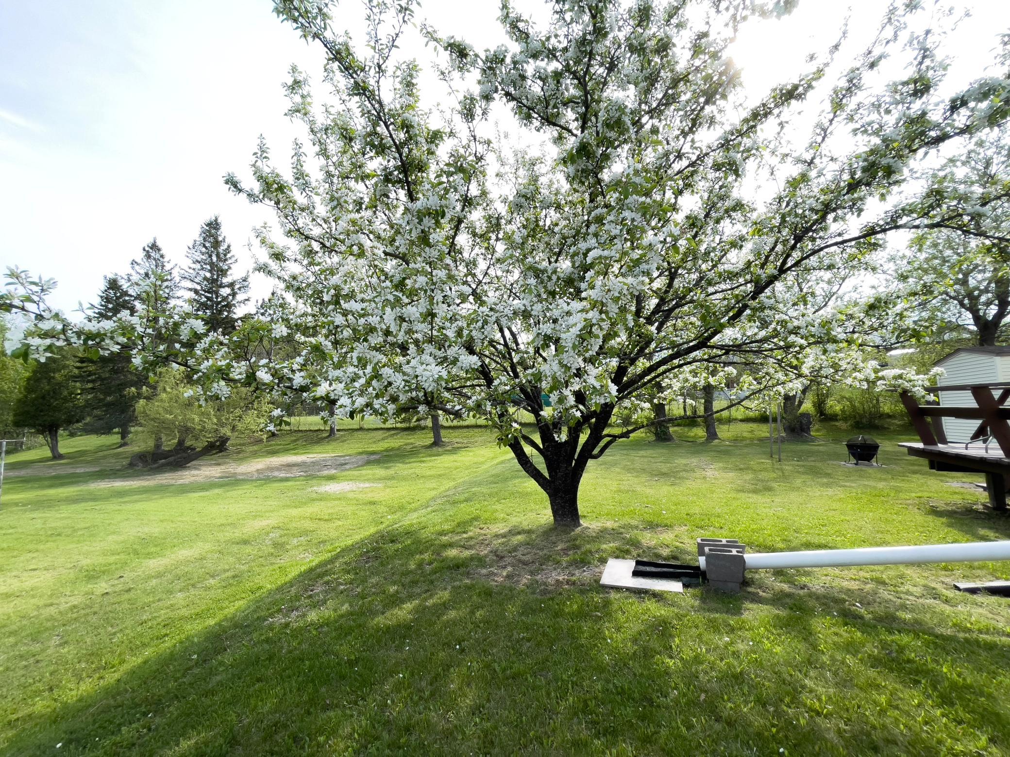 41 Bell Circle Silver Bay, MN 55614 - Photo 32 of 38