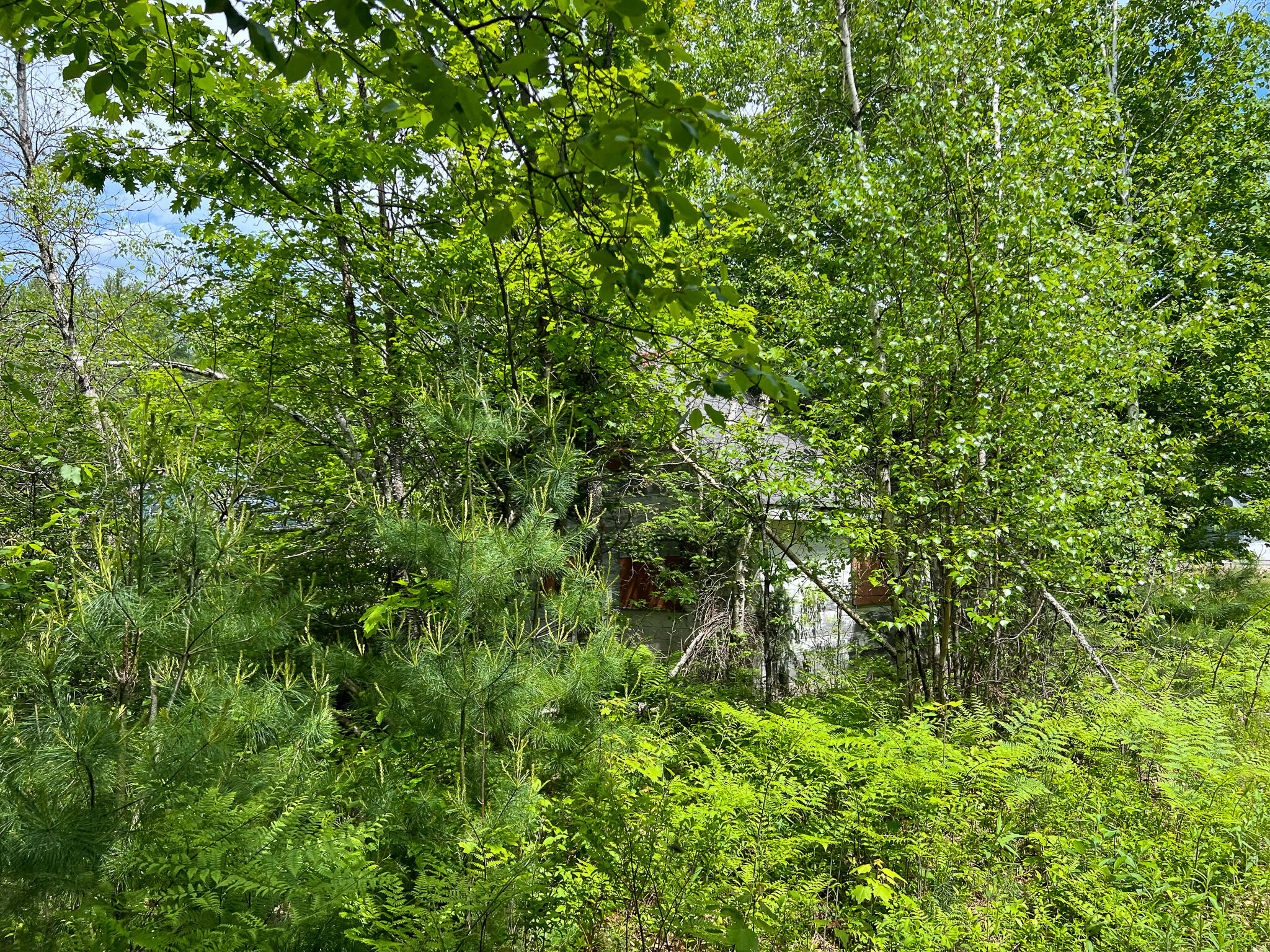 128 Common Road Dixfield, ME 04224 - Photo 3 of 11 IMG_2924