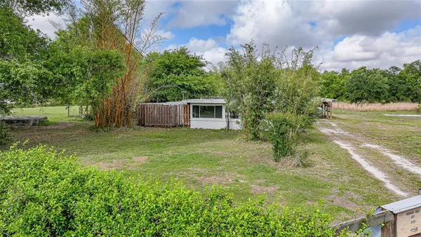 a view of a backyard with large trees