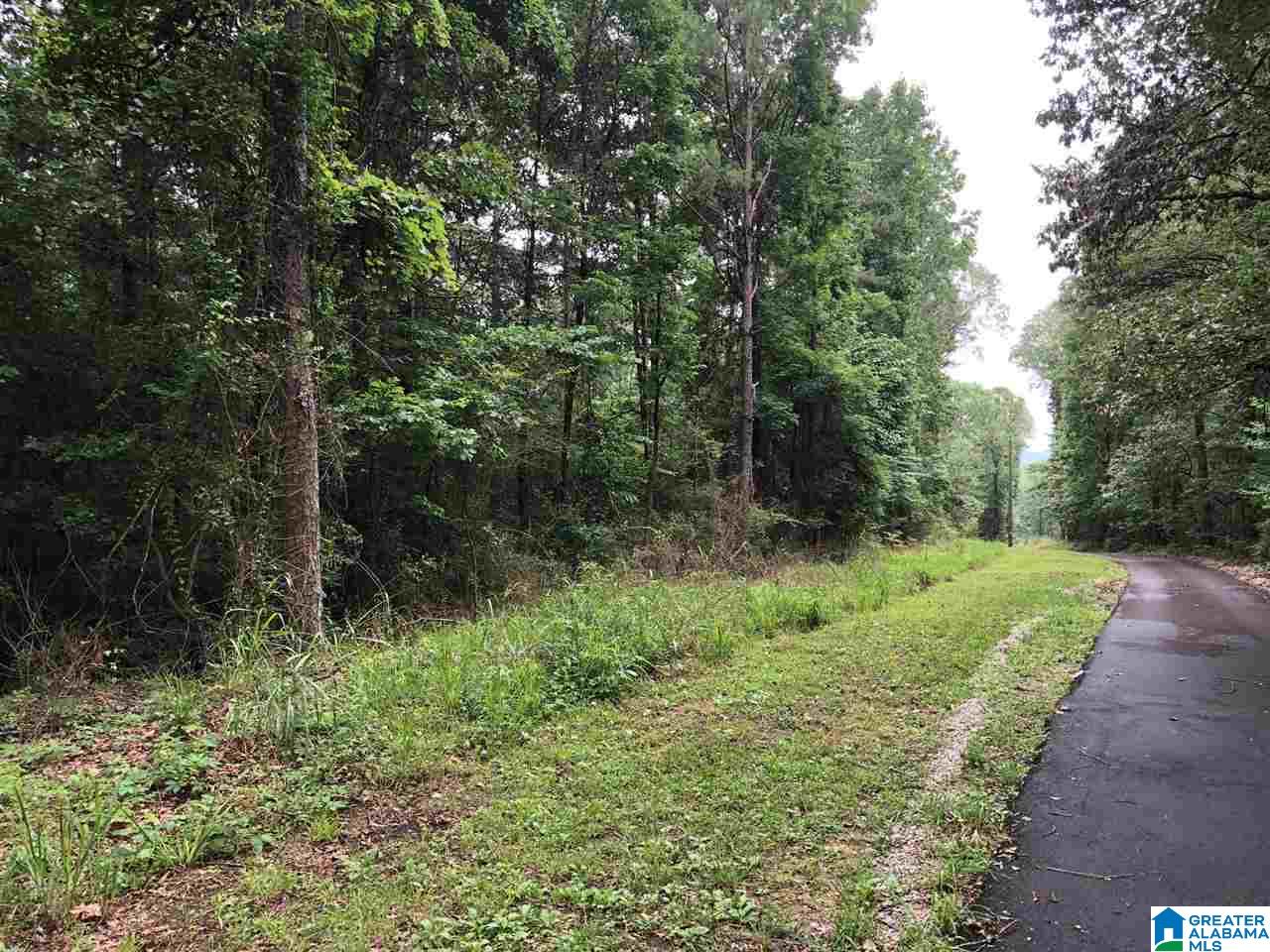 6115 Mountain Ridge Road, Unit 3 Trussville, AL 35173 - Photo 1 of 2