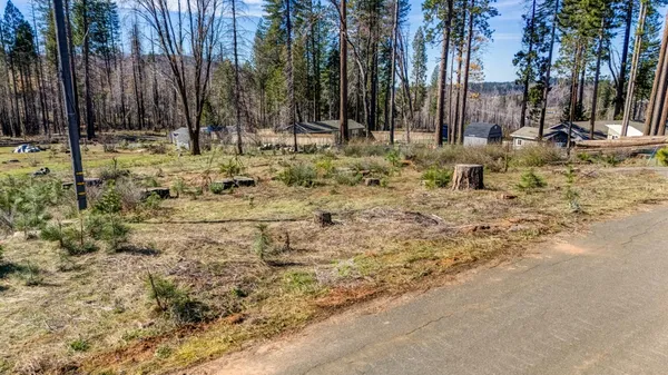 a view of a yard with trees