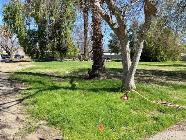 a view of backyard with green space