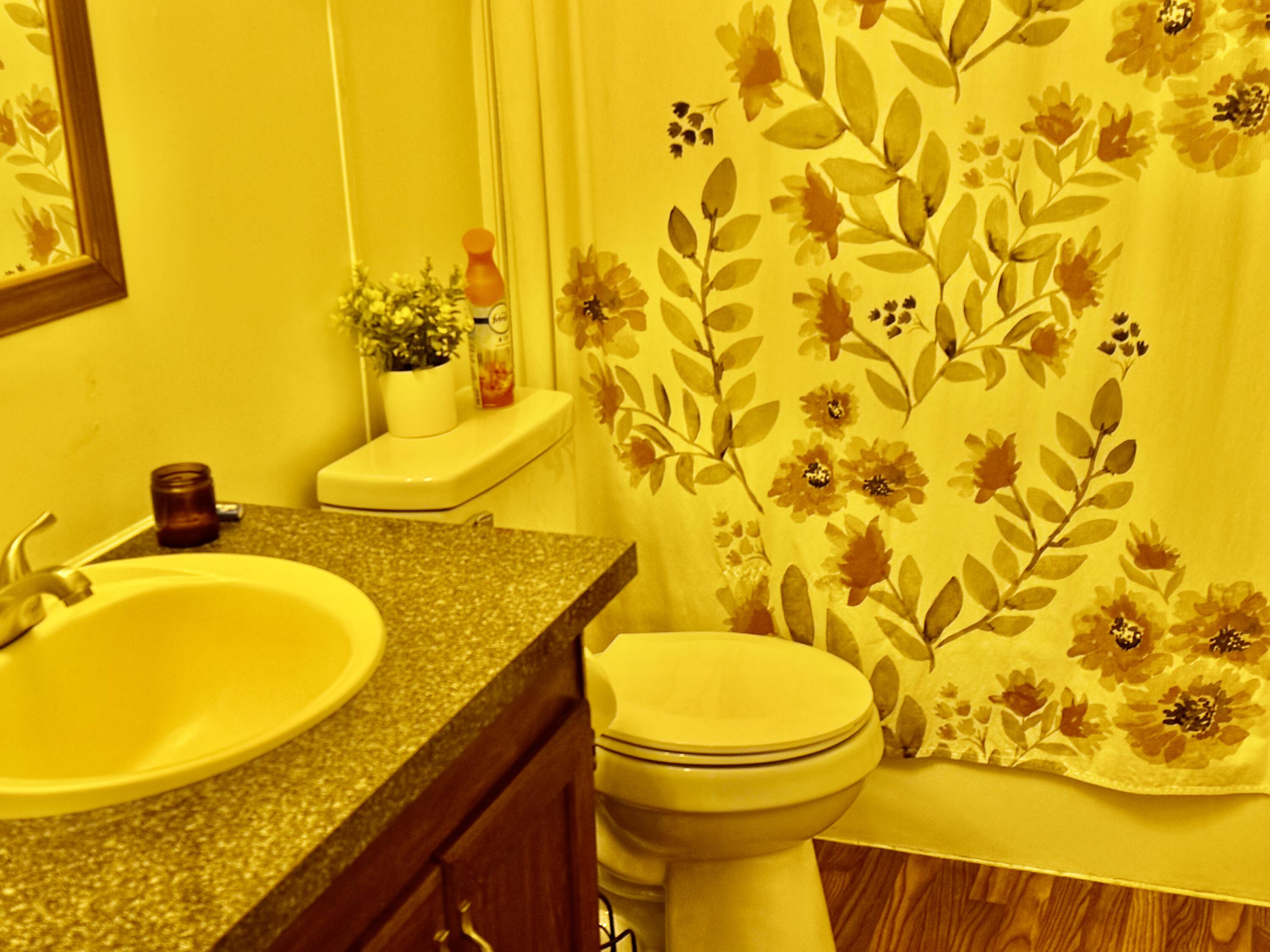 6249 Joppa Mill Road Moneta, VA 24121 - Photo 20 of 55 a bathroom with a blue sink and a mirror