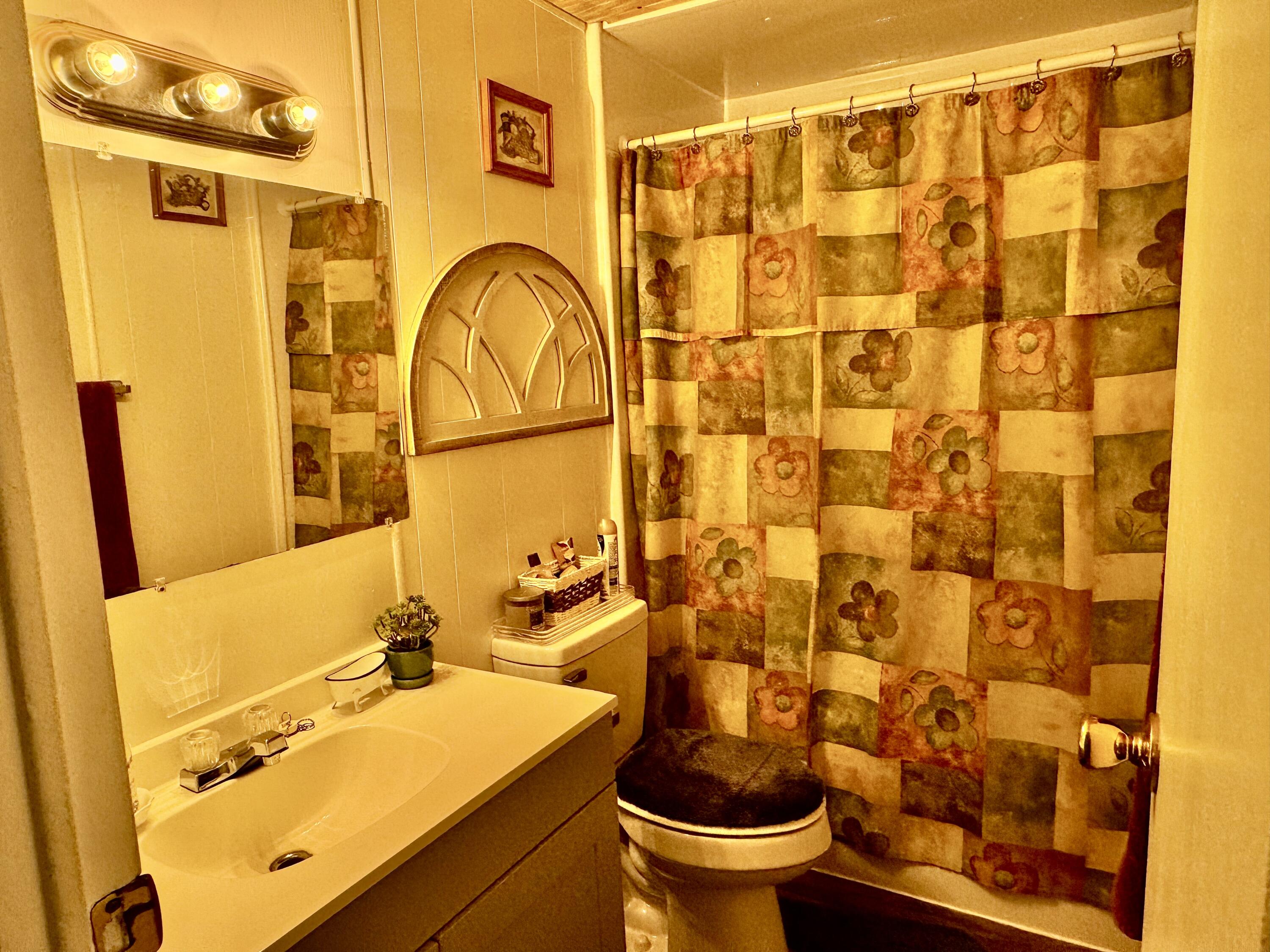 6249 Joppa Mill Road Moneta, VA 24121 - Photo 36 of 55 a bathroom with a sink and a mirror