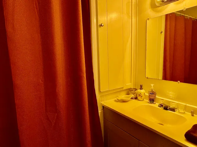 a view of back yard of the house