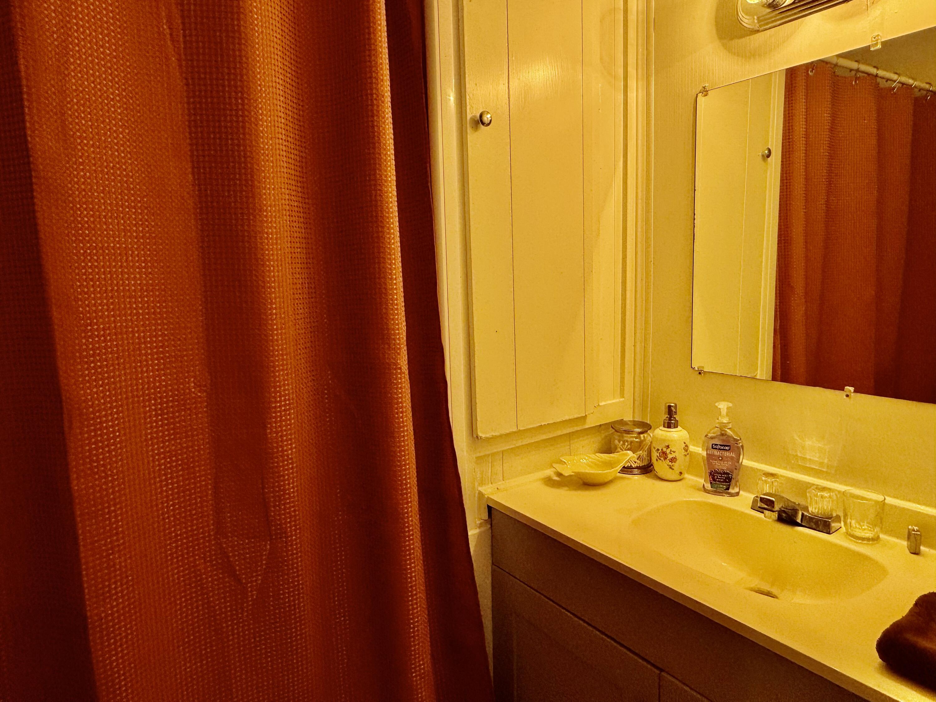 6249 Joppa Mill Road Moneta, VA 24121 - Photo 42 of 55 a bathroom with a sink and a mirror