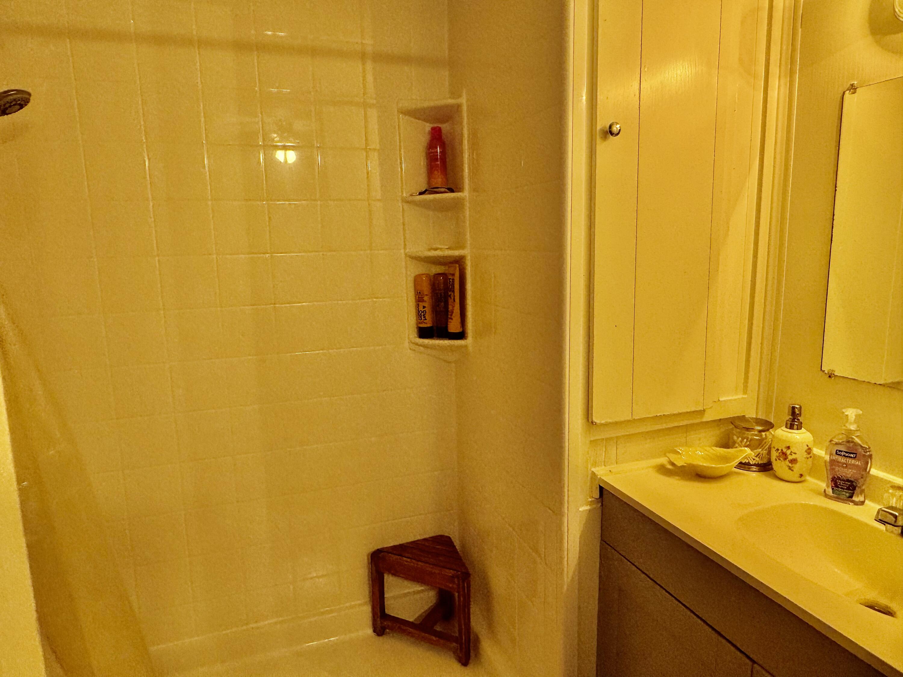 6249 Joppa Mill Road Moneta, VA 24121 - Photo 43 of 55 a bathroom with a sink and a mirror