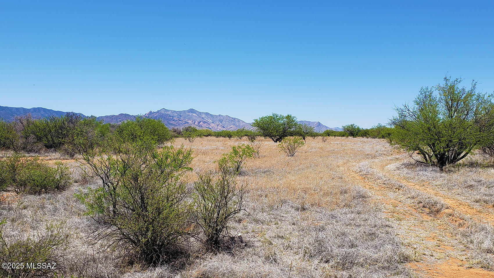 5.17-ac East Rock Road, Unit 133 Pearce, AZ 85625 - Photo 1 of 15