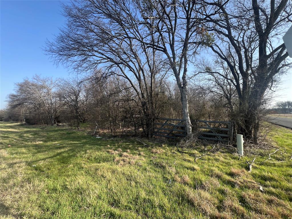 13700 Gholson Road Gholson, TX 76705 - Photo 6 of 8 a view of a backyard with large trees