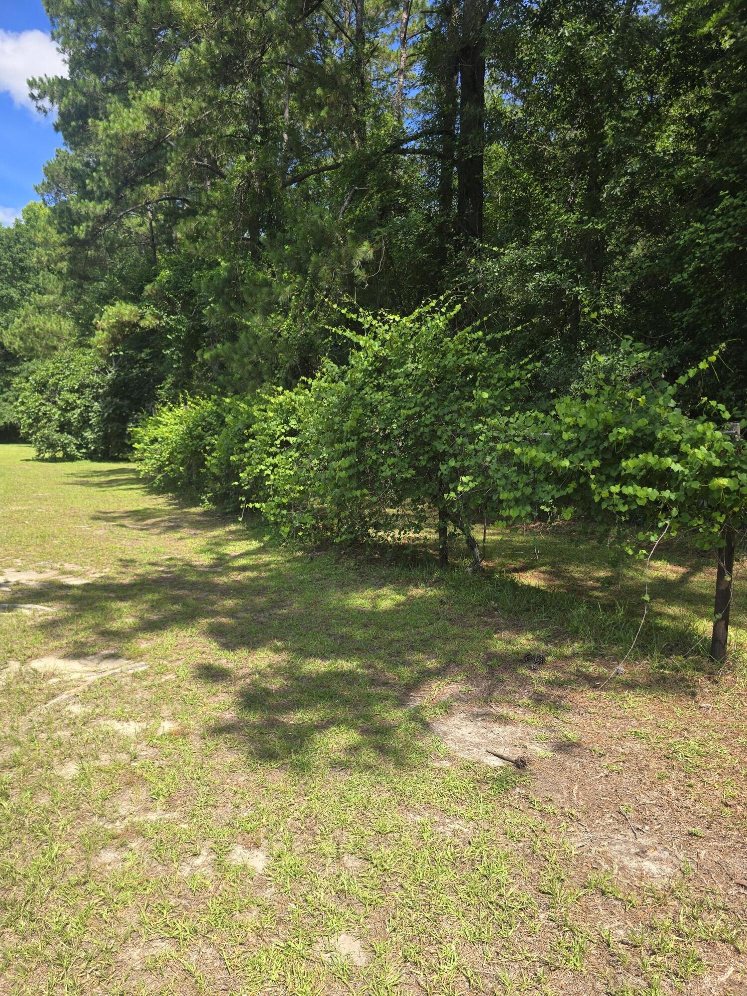2850 North Main Street Sumter, SC 29153 - Photo 18 of 18 20260624_111535