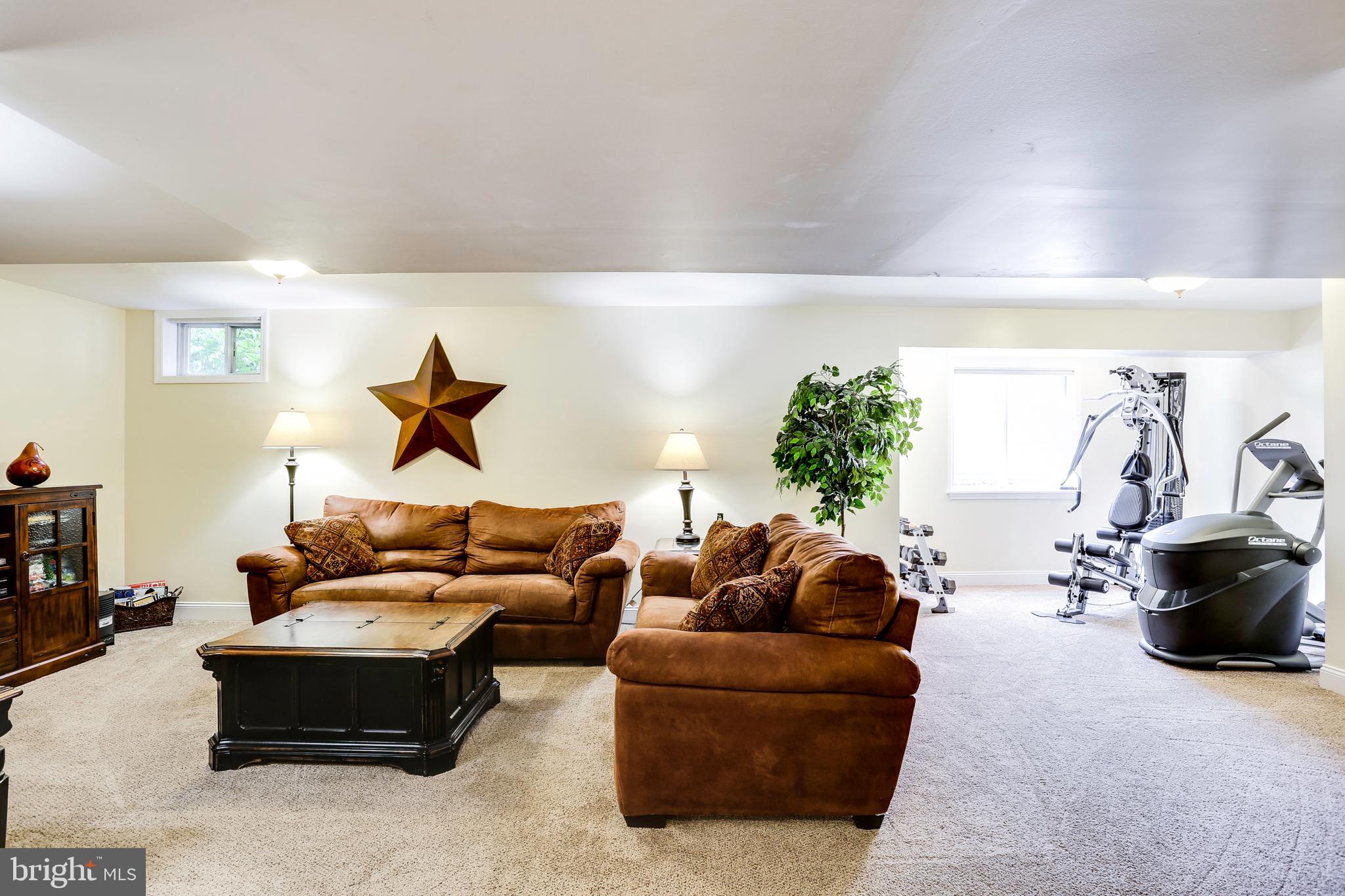 407 River Road Arnold, MD 21012 - Photo 25 of 31 Spacious finished basement
