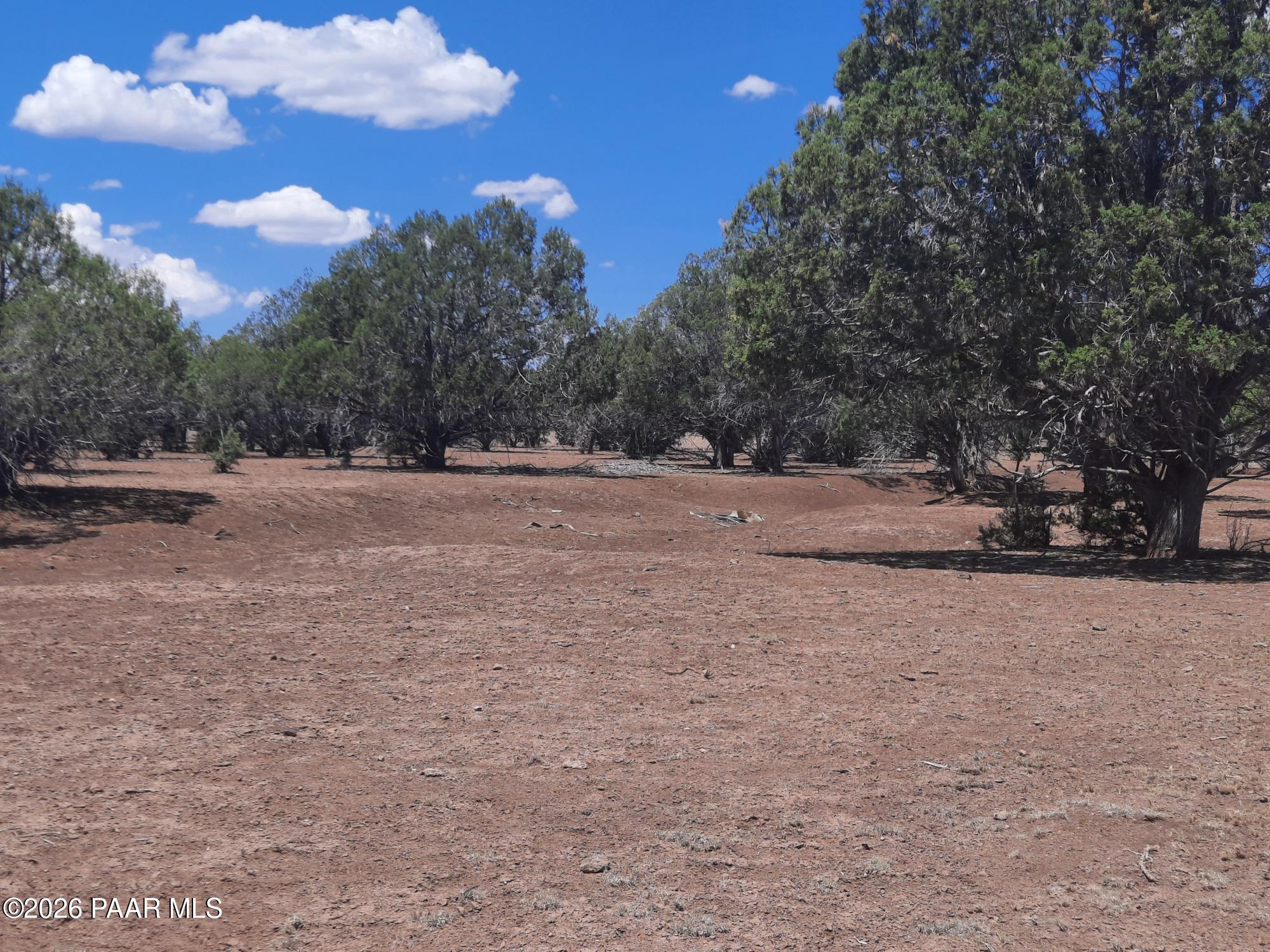 44050 West Fort Rock Road Seligman, AZ 86337 - Photo 41 of 46 20260616_112503