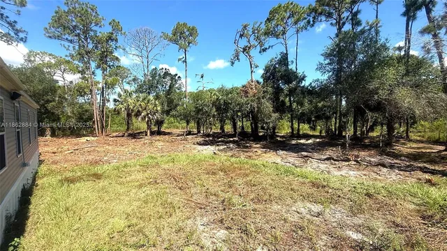a view of outdoor space with trees