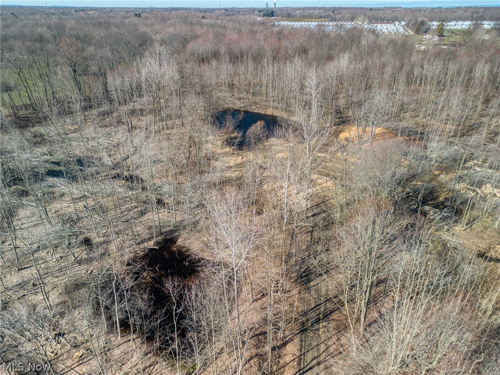 County Line Road Geneva, OH 44041 - Photo 8 of 11