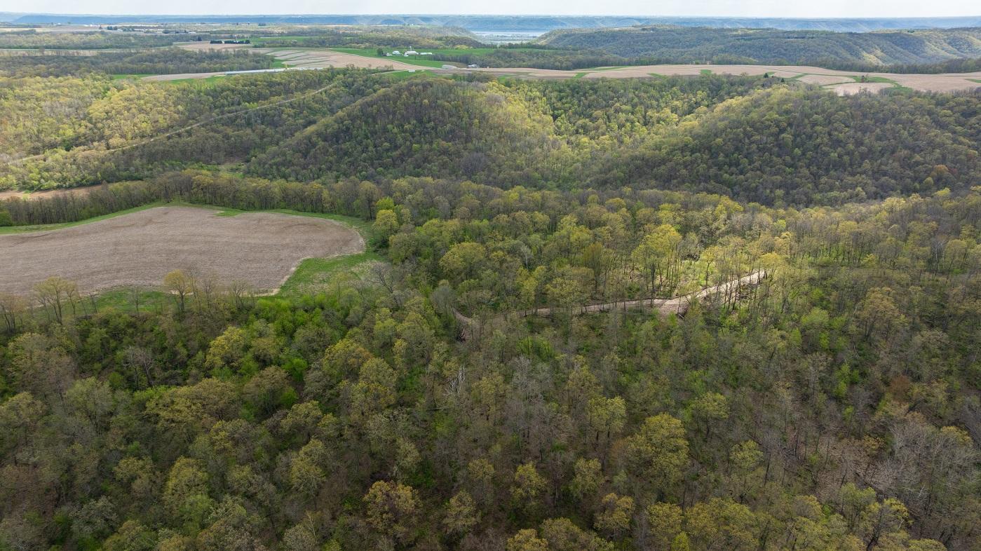 0 Yaeger Valley Road Cochrane, WI 54622 - Photo 20 of 80