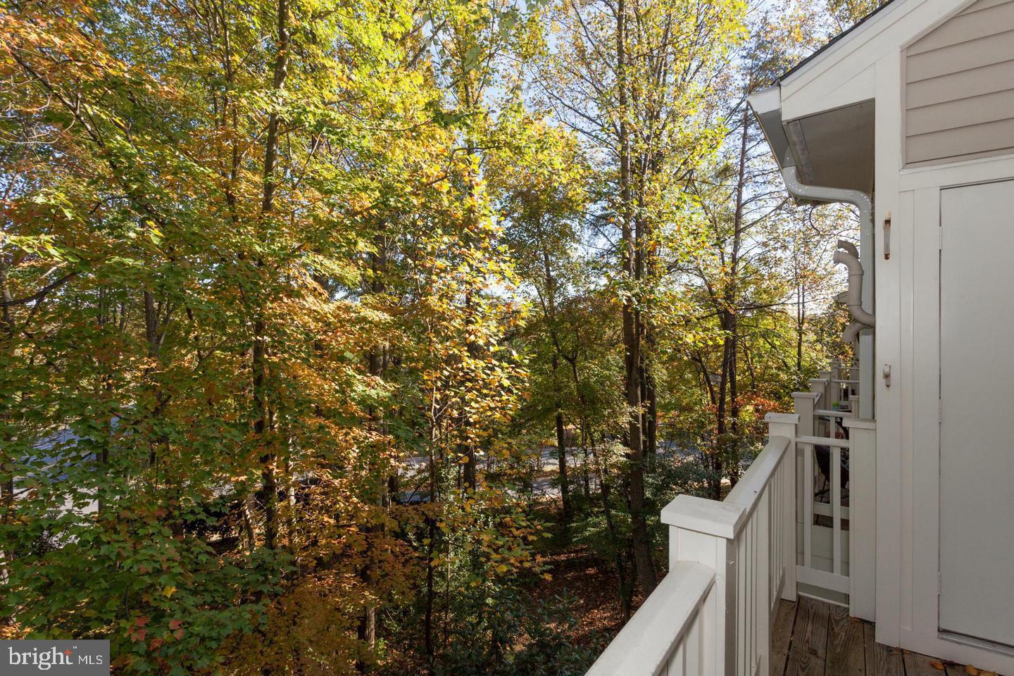 11401 Gate Hill Place, Unit 72 Reston, VA 20194 - Photo 11 of 30 Large Balcony with Electrical Closet