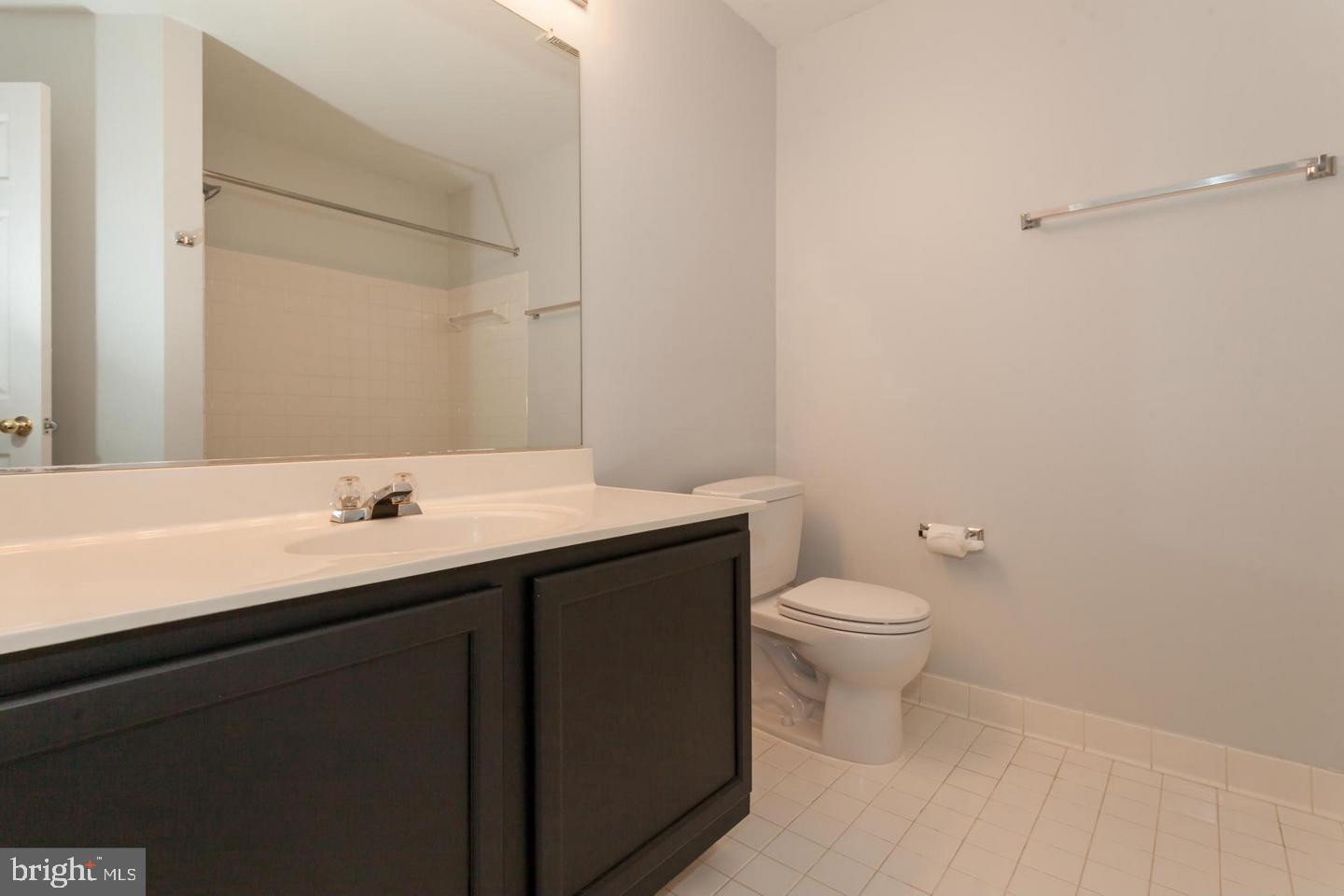 11401 Gate Hill Place, Unit 72 Reston, VA 20194 - Photo 22 of 30 Large Hall Bathroom