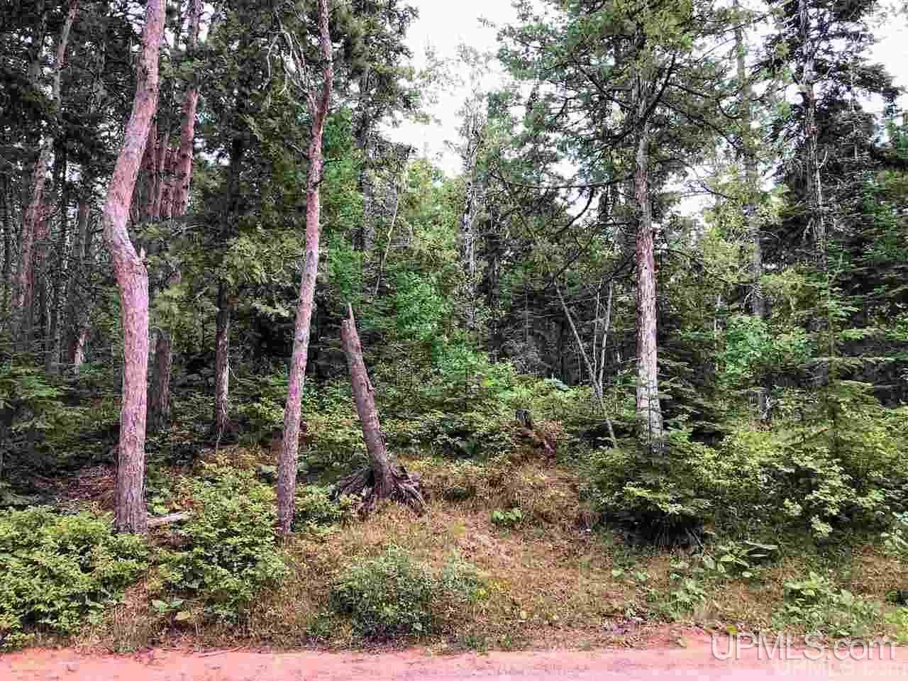 Tbd Goodell Road, Unit LOT 3 Mohawk, MI 49950 - Photo 15 of 20