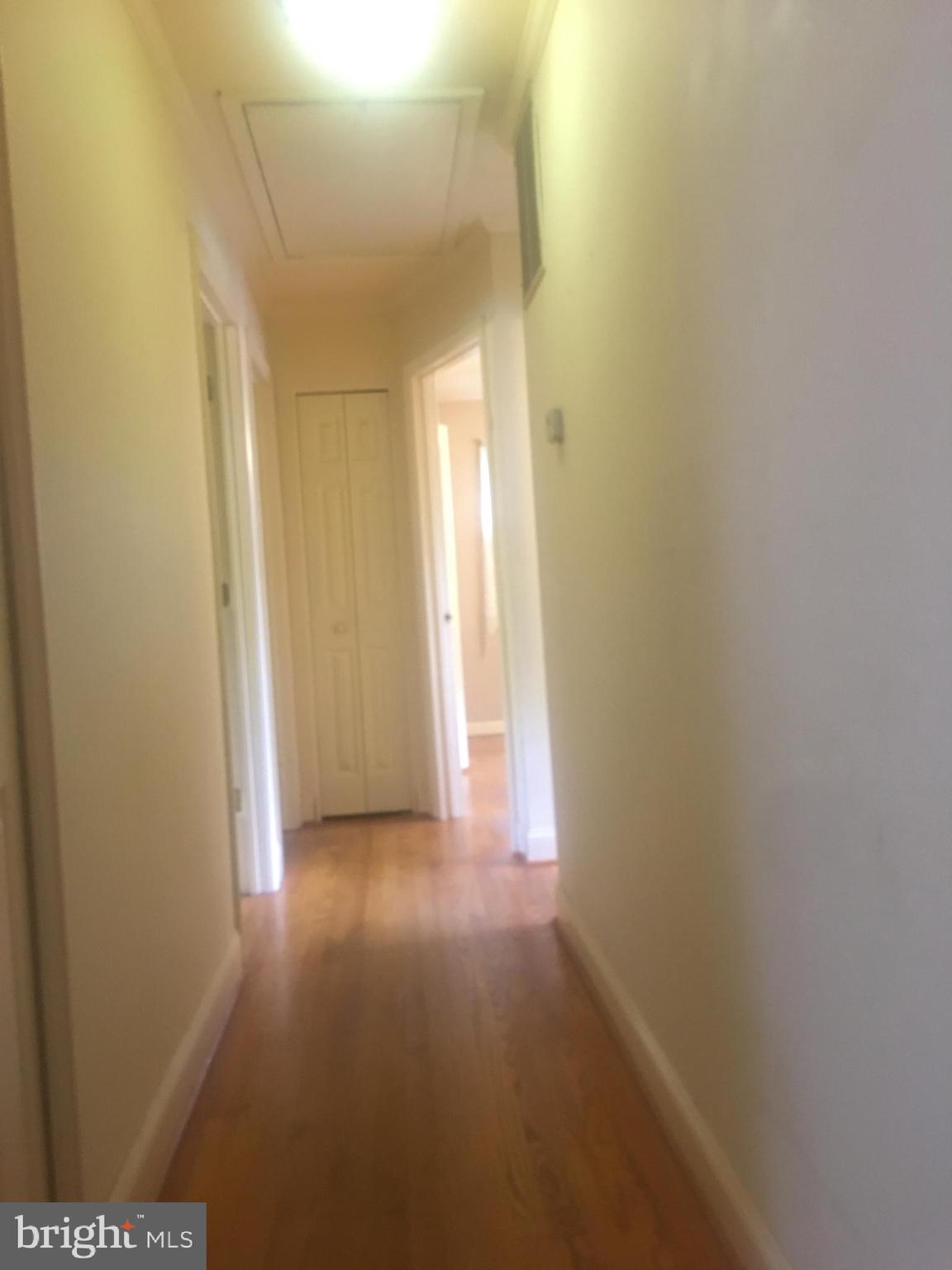 3302 Moline Road Silver Spring, MD 20902 - Photo 12 of 28