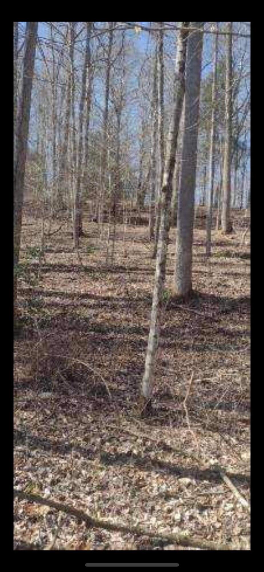 3 Pine Grove Road Beattyville, KY 41311 - Photo 2 of 17 6901FFBC-9EF2-44FB-B8FD-44F6232FA553