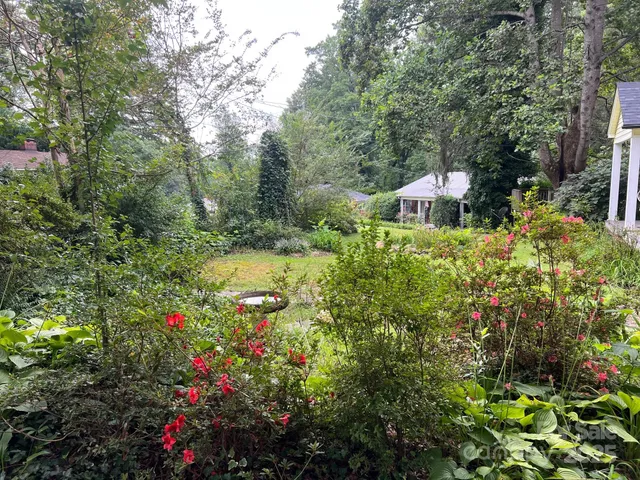 a view of a garden with plants and large trees