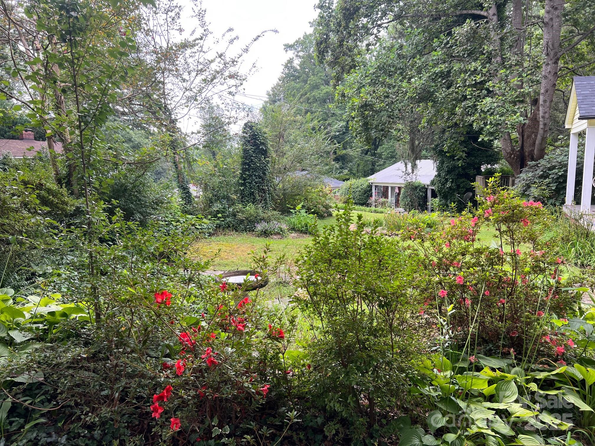 404 Patton Street Morganton, NC 28655 - Photo 5 of 40 a view of a garden with plants and large trees