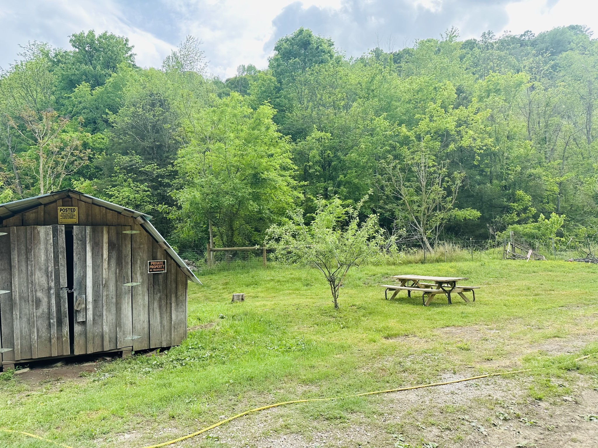 1611 Knob Creek Road Celina, TN 38551 - Photo 34 of 48