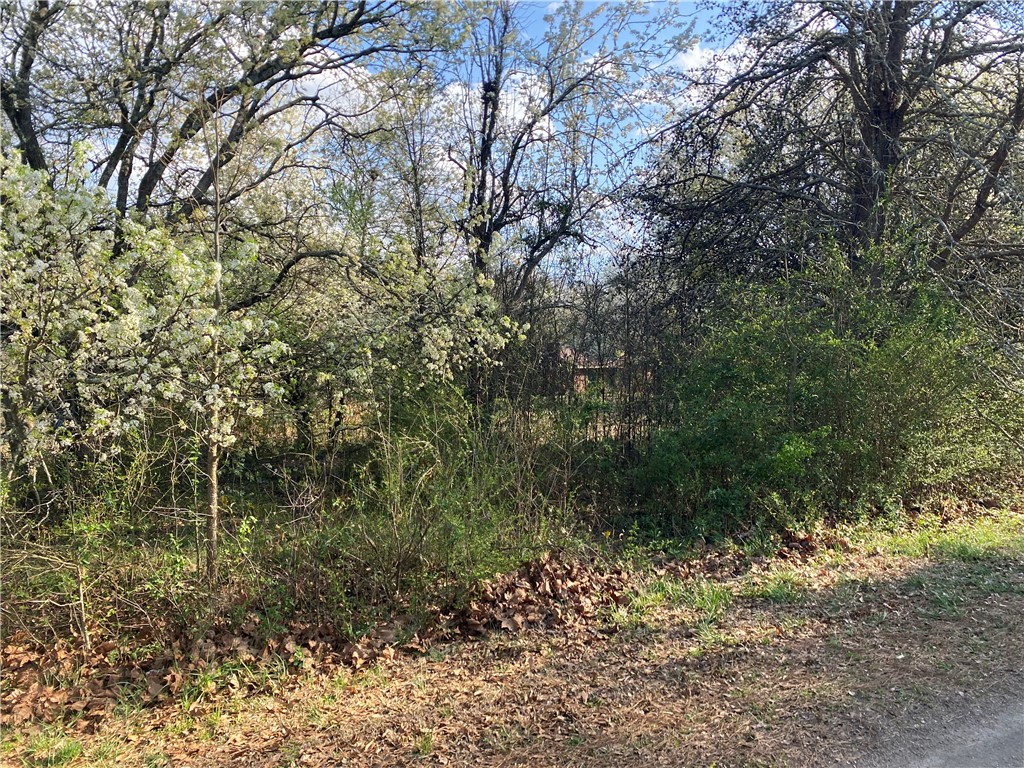 71 A Hicks Drive Starr, SC 29684 - Photo 1 of 11 This verdant lot offers abundant greenery, creating a natural and private setting.