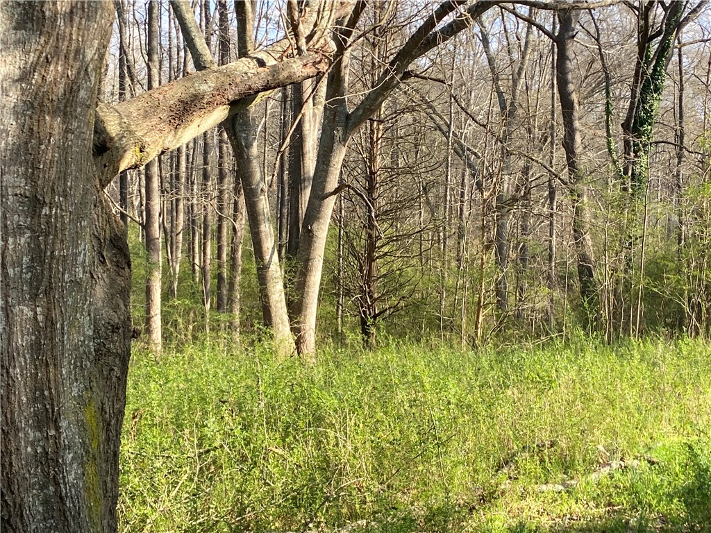 71 A Hicks Drive Starr, SC 29684 - Photo 5 of 11 Lush greenery thrives amidst a tranquil, wooded setting, offering a private and natural backdrop.