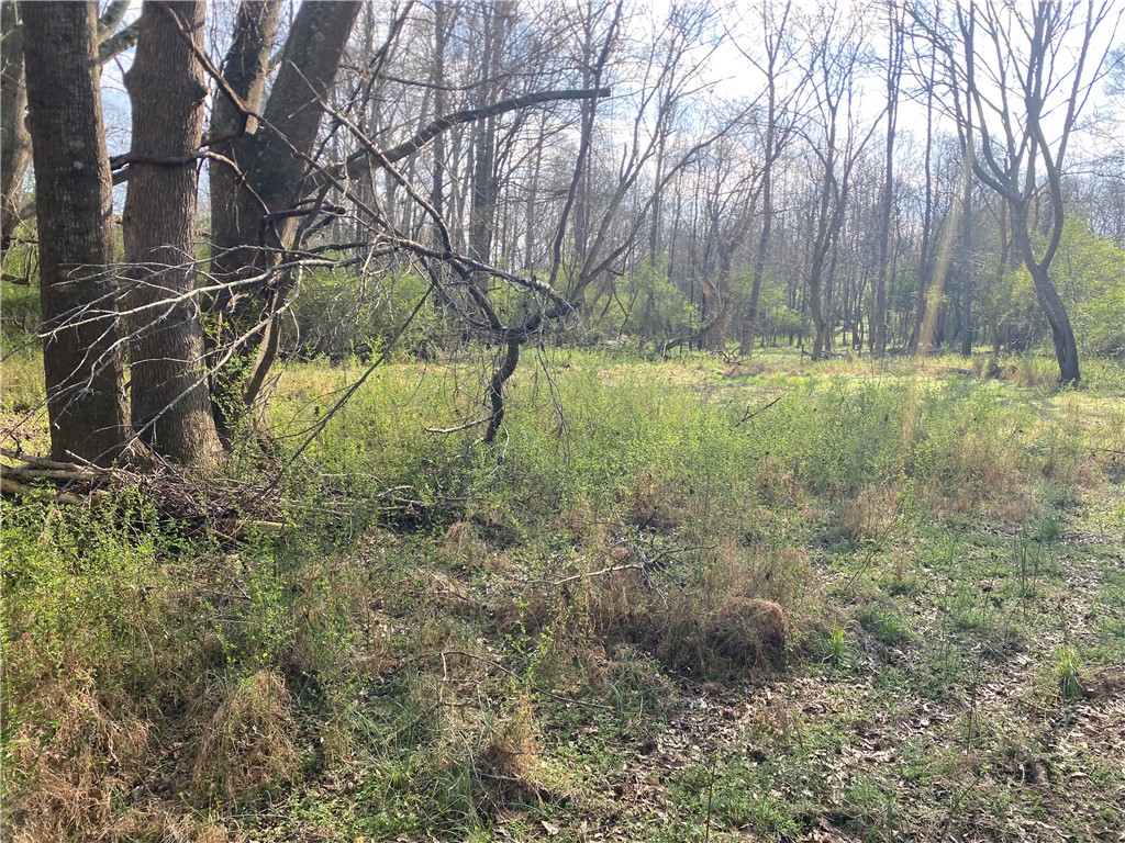 71 A Hicks Drive Starr, SC 29684 - Photo 6 of 11 This tranquil wooded lot offers a peaceful retreat for your future home.