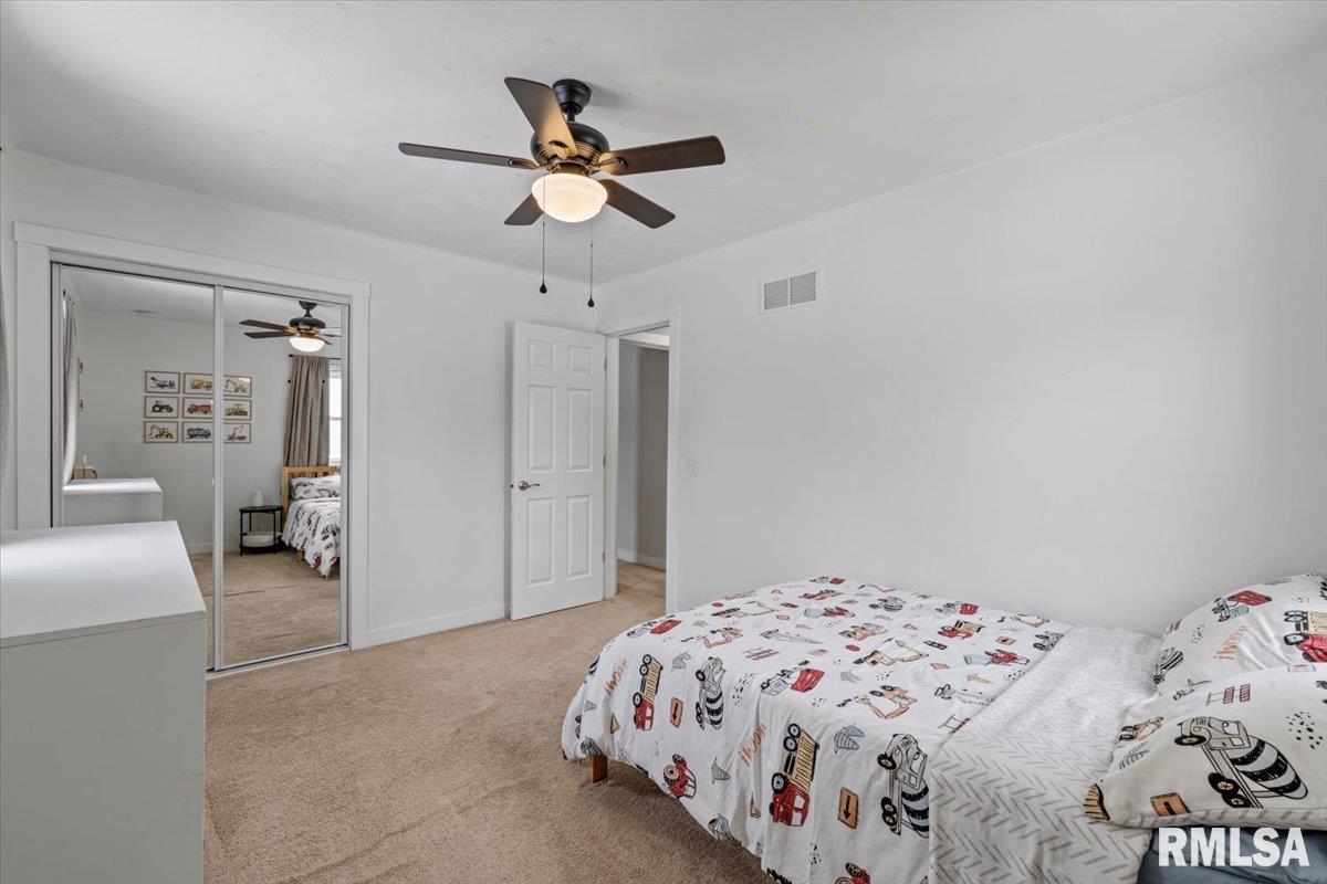 102 Amber Lane Geneseo, IL 61254 - Photo 29 of 62