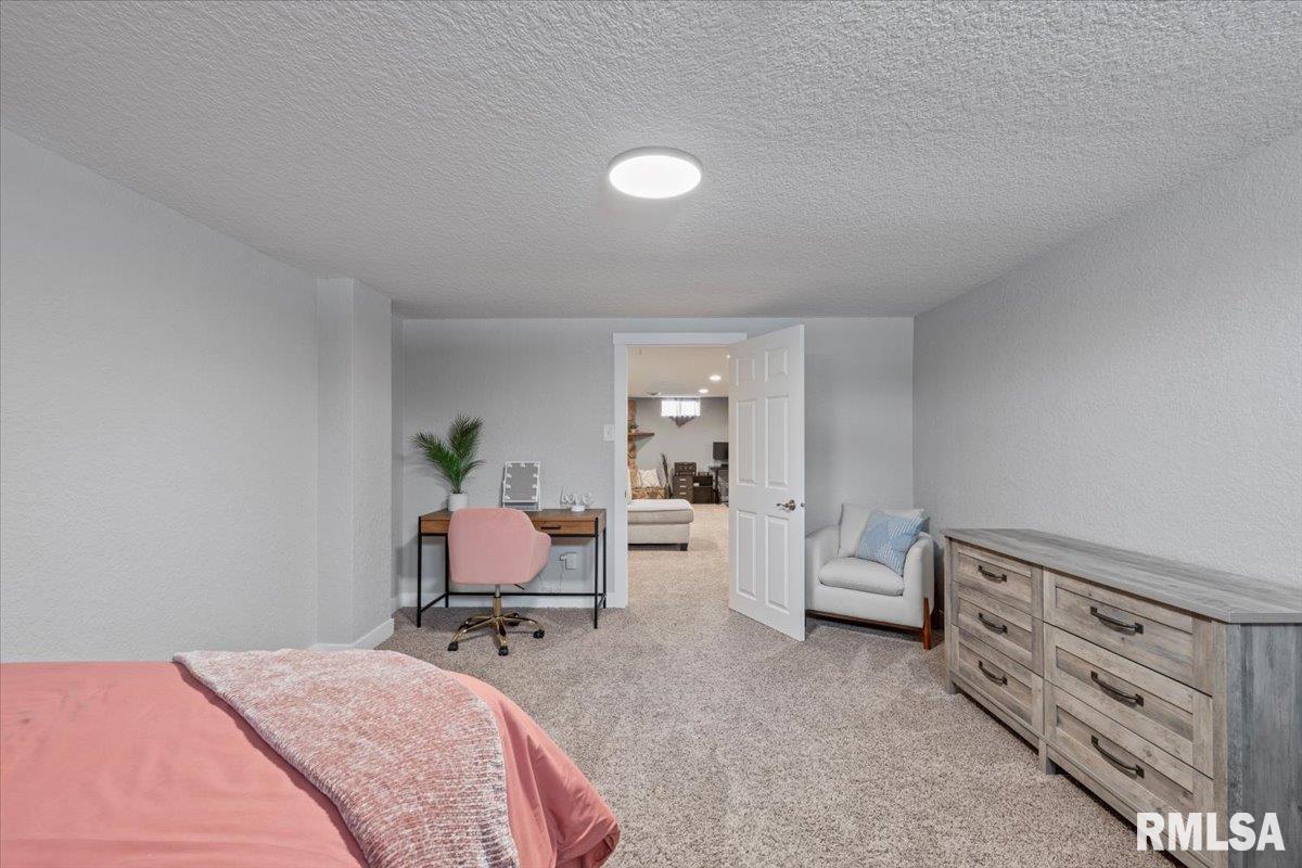 102 Amber Lane Geneseo, IL 61254 - Photo 41 of 62