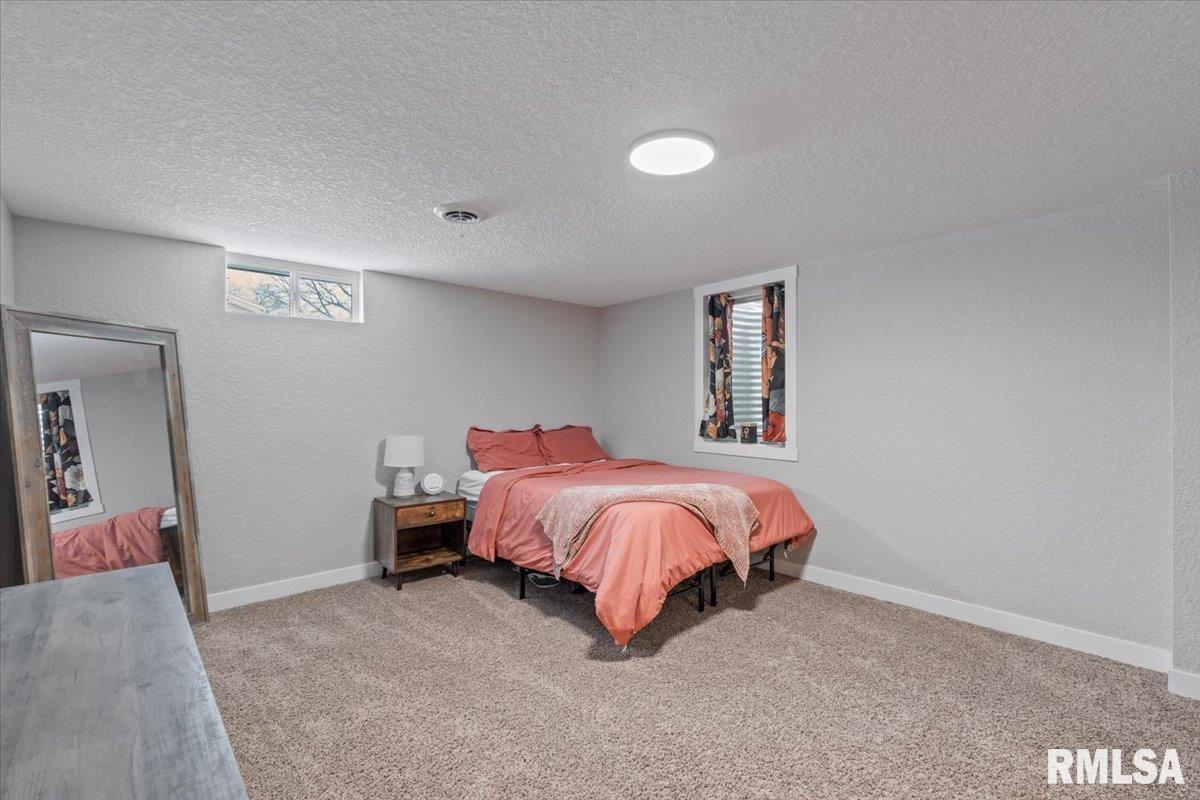 102 Amber Lane Geneseo, IL 61254 - Photo 42 of 62