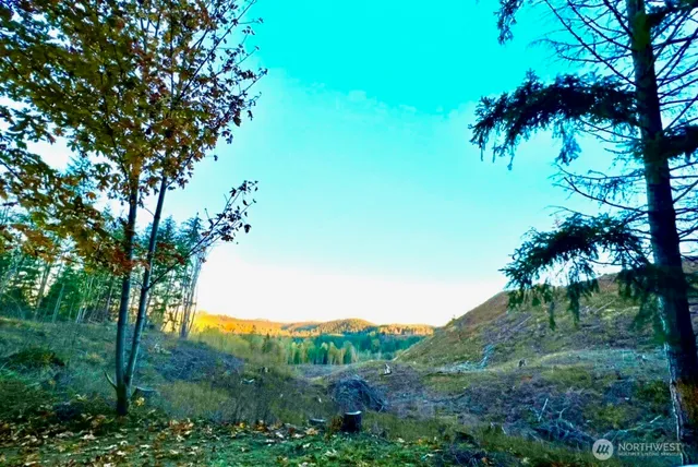 a view of a house with a mountain and a forest