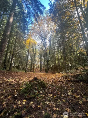 $175,000 | 19713 196th Avenue East, Orting, WA 98360