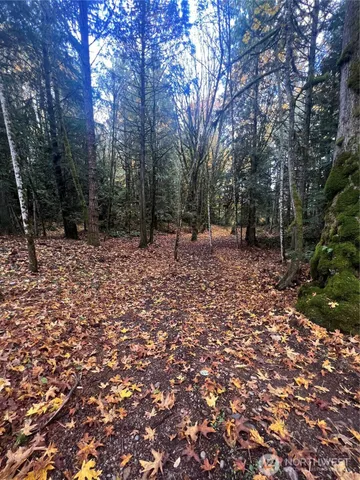 $175,000 | 19713 196th Avenue East, Orting, WA 98360