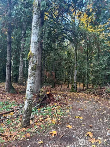 $175,000 | 19713 196th Avenue East, Orting, WA 98360