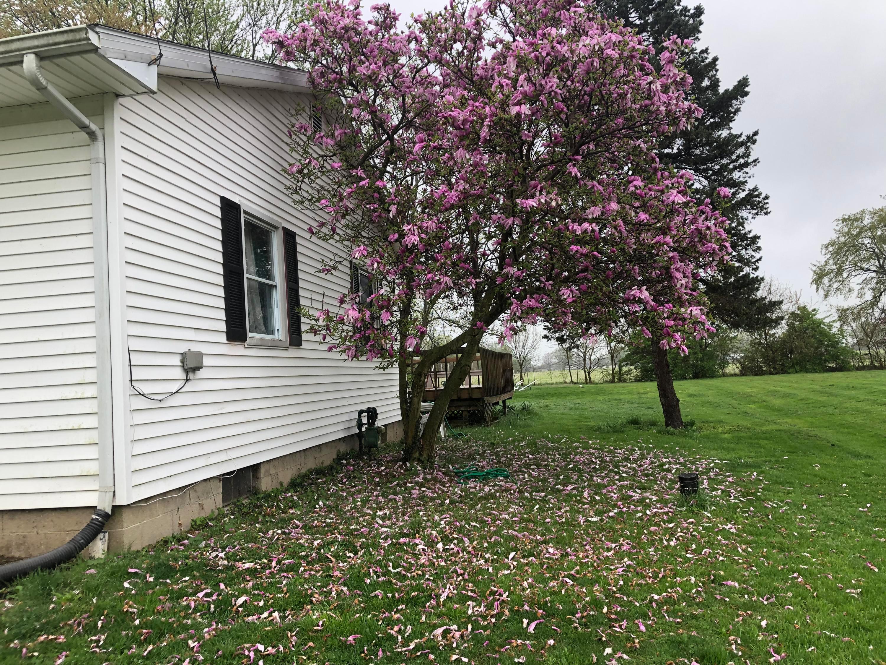 731 Swackhammer Road Circleville, OH 43113 - Photo 6 of 30 Gallery Image 6