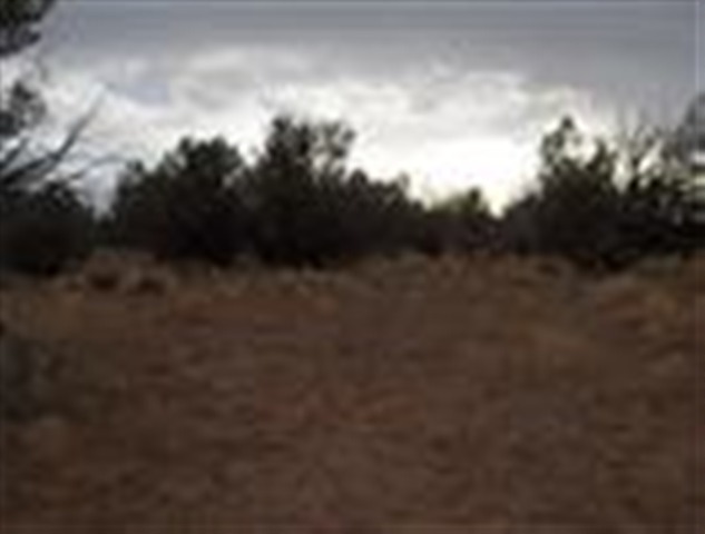 5 T14n R16e:se4 Sw4 Parcel 4 Heber, AZ 85928 - Photo 1 of 1