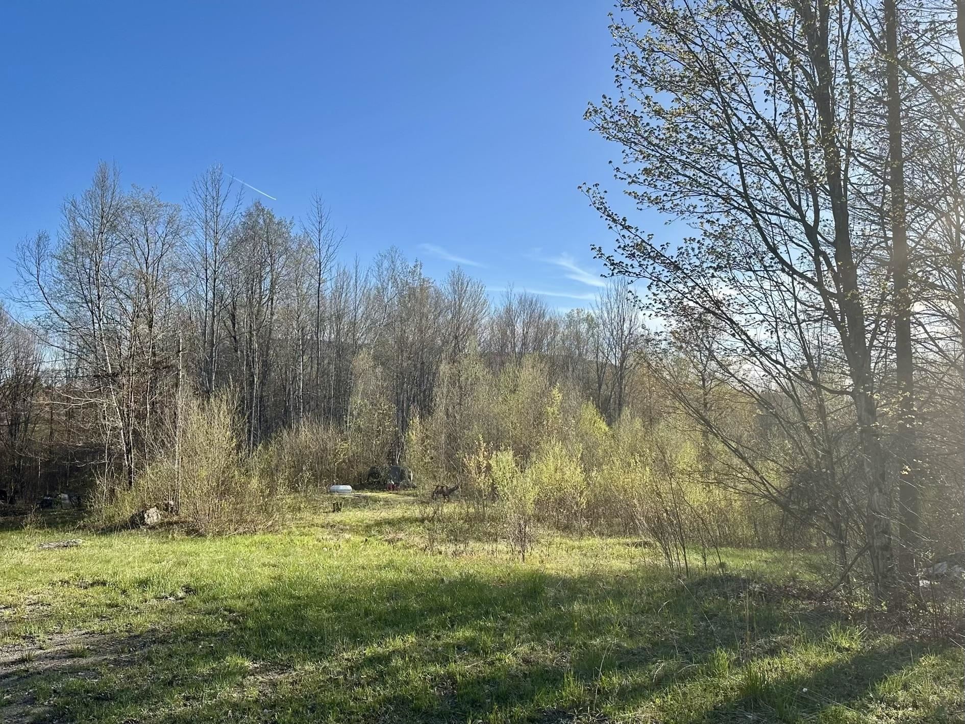 0 Brookview Lane, Unit 4 Wolcott, VT 05680 - Photo 3 of 15