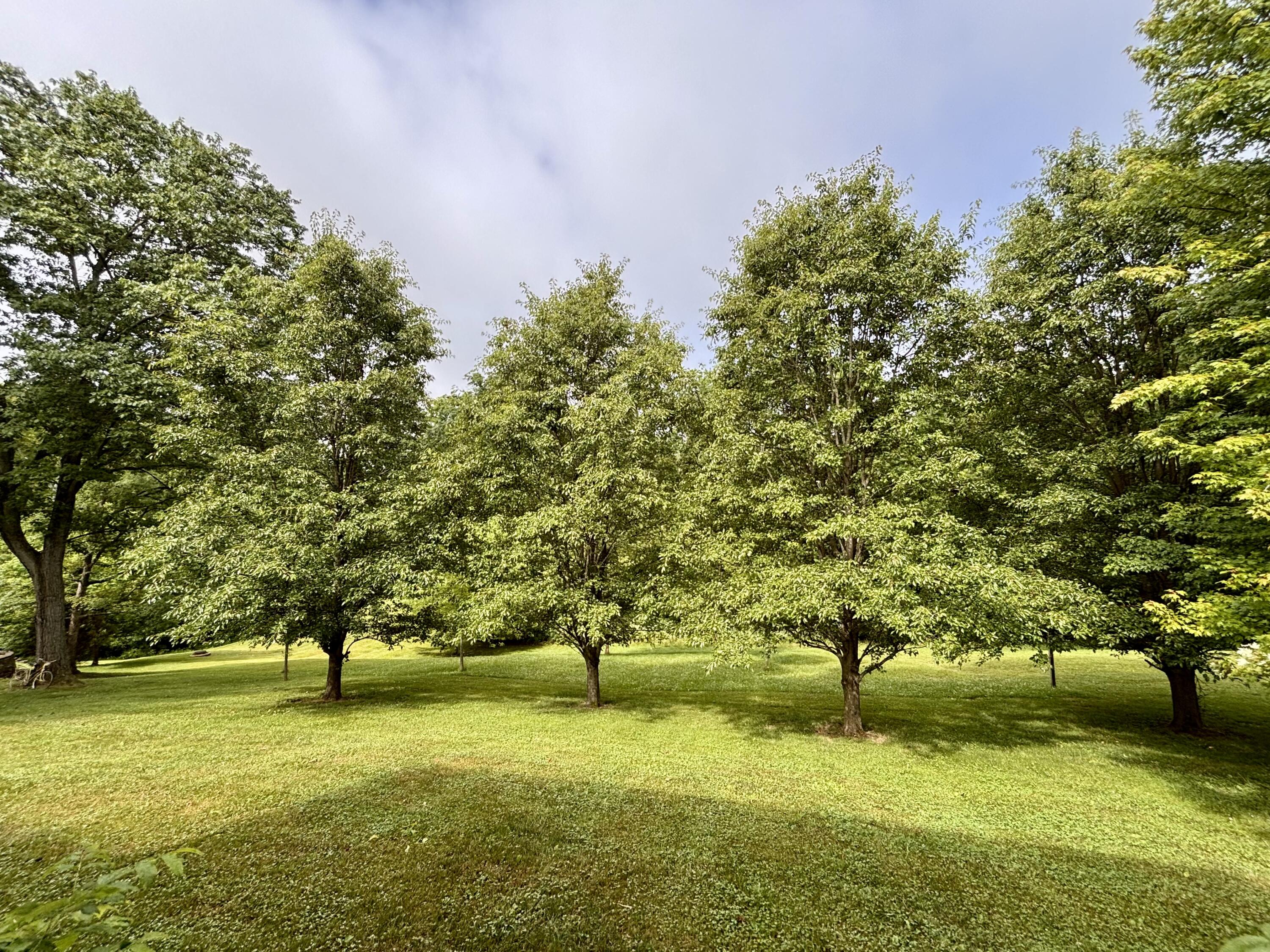 225 Maple Ridge Crittenden, KY 41030 - Photo 43 of 49 IMG_4452