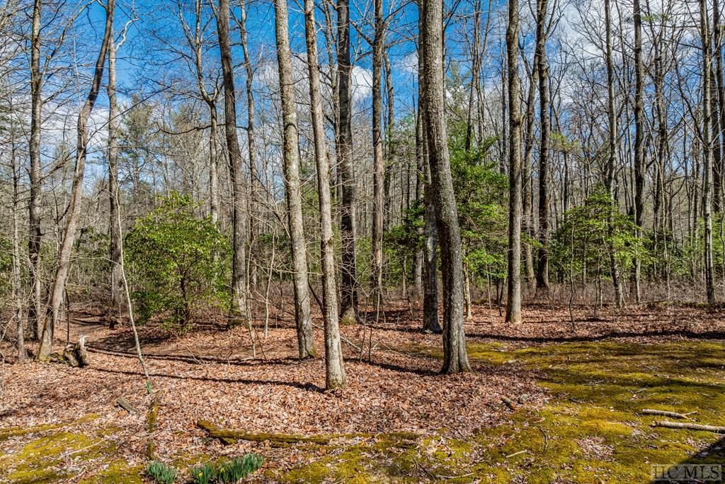 53 Timber Ridge Drive Sylva, NC 28779 - Photo 18 of 40 Gallery Image 18