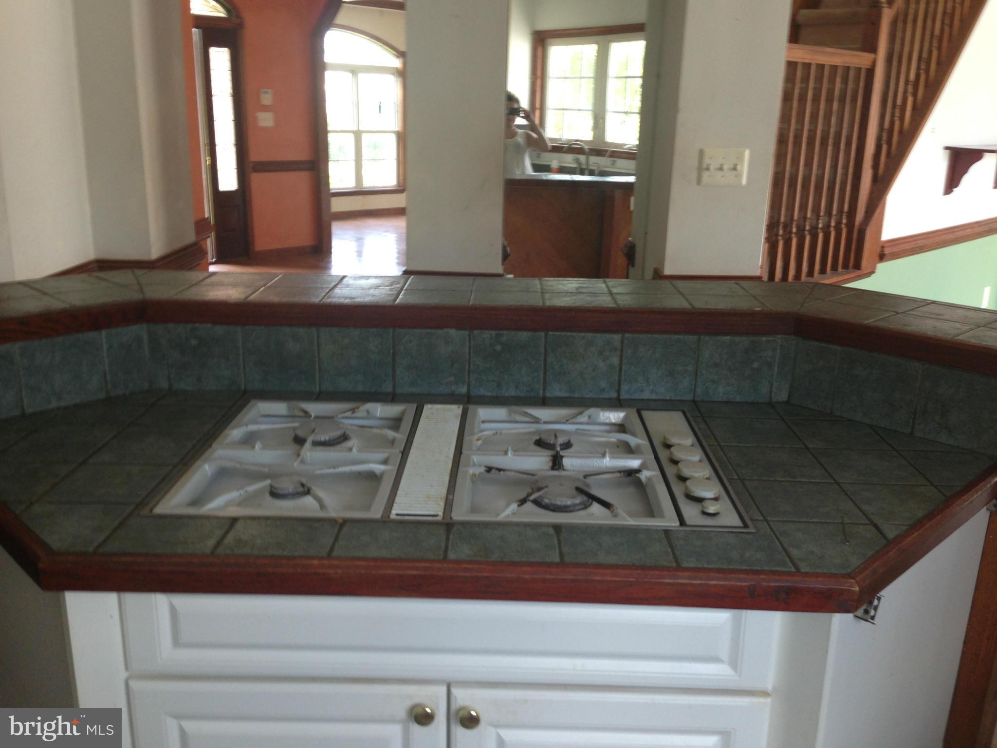 34077 Ridge View Drive Locust Grove, VA 22508 - Photo 8 of 27 Interior (General)