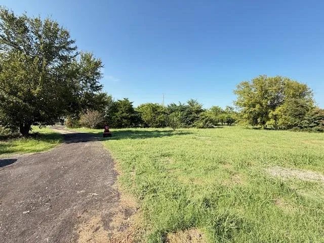 a view of grassy field with trees